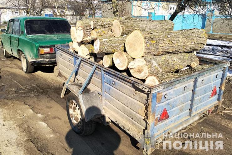 Двоих жителей Татарбунар привлекут к ответственности за незаконную перевозку леса